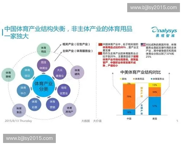 以体育平台为核心推动产业服务专业化发展的新路径研究模式探索
